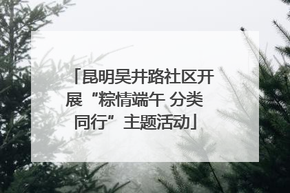 昆明吴井路社区开展“粽情端午 分类同行”主题活动