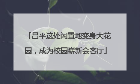 昌平这处闲置地变身大花园，成为校园崭新会客厅