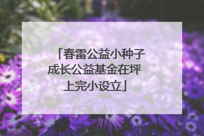 春雷公益小种子成长公益基金在坪上完小设立