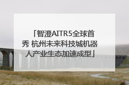智澄AITR5全球首秀 杭州未来科技城机器人产业生态加速成型