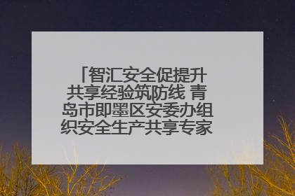智汇安全促提升 共享经验筑防线 青岛市即墨区安委办组织安全生产共享专家现场观摩学习活动