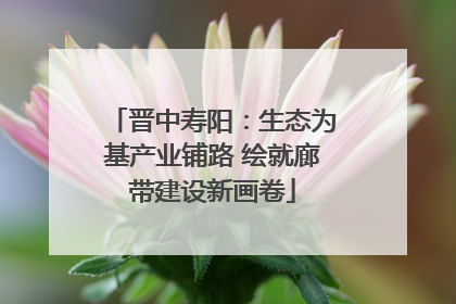 晋中寿阳：生态为基产业铺路 绘就廊带建设新画卷