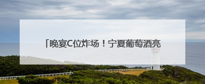 晚宴C位炸场！宁夏葡萄酒亮相西博会，获中外嘉宾好评！