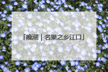 晚潮｜名果之乡江口