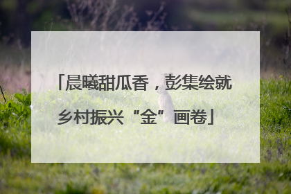 晨曦甜瓜香，彭集绘就乡村振兴“金”画卷