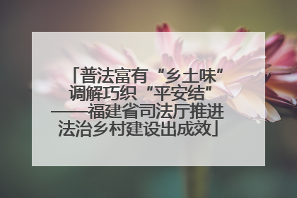 普法富有“乡土味” 调解巧织“平安结”——福建省司法厅推进法治乡村建设出成效