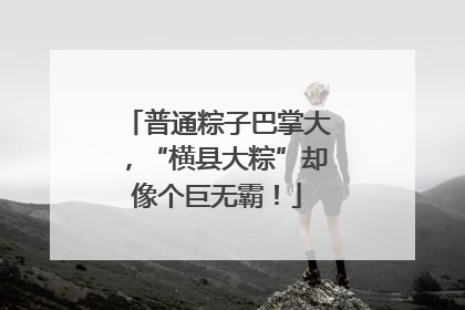 普通粽子巴掌大，“横县大粽”却像个巨无霸！