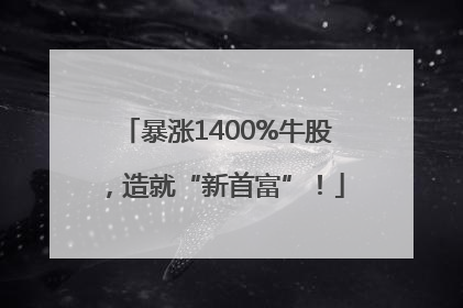 暴涨1400%牛股，造就“新首富”！