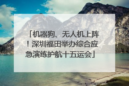 机器狗、无人机上阵！深圳福田举办综合应急演练护航十五运会