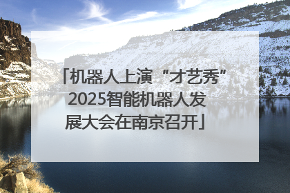机器人上演“才艺秀” 2025智能机器人发展大会在南京召开