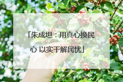 朱成坦：用真心换民心 以实干解民忧