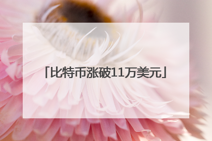 比特币涨破11万美元