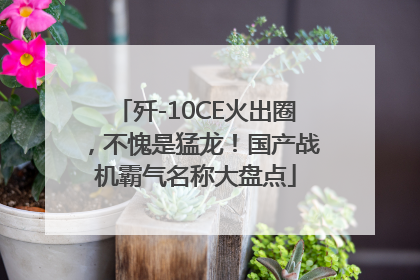 歼-10CE火出圈，不愧是猛龙！国产战机霸气名称大盘点