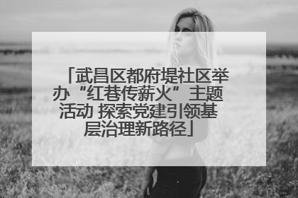 武昌区都府堤社区举办“红巷传薪火”主题活动 探索党建引领基层治理新路径