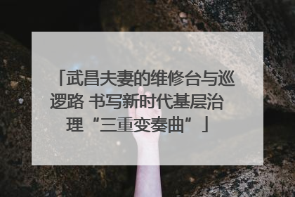 武昌夫妻的维修台与巡逻路 书写新时代基层治理“三重变奏曲”