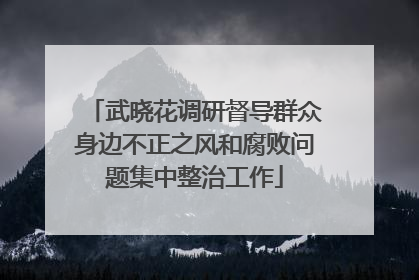 武晓花调研督导群众身边不正之风和腐败问题集中整治工作
