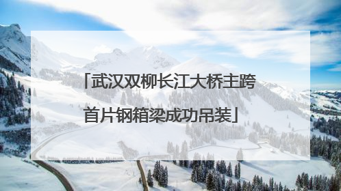 武汉双柳长江大桥主跨首片钢箱梁成功吊装