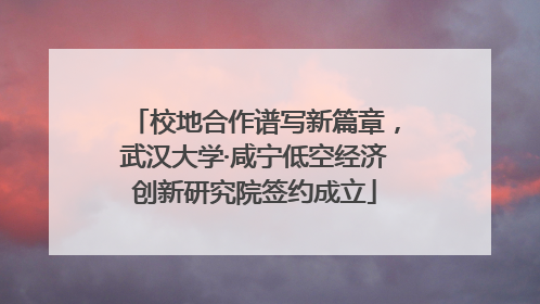 校地合作谱写新篇章，武汉大学·咸宁低空经济创新研究院签约成立