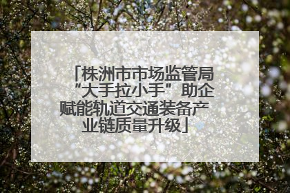 株洲市市场监管局“大手拉小手”助企赋能轨道交通装备产业链质量升级