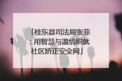 桂东县司法局张菲：用智慧与温情织就社区矫正安全网