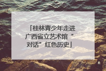 桂林青少年走进广西省立艺术馆“对话”红色历史