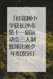 桂花树小学获长沙市第十一届运动会三人制篮球比赛少年组双冠