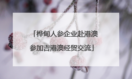 桦甸人参企业赴港澳参加吉港澳经贸交流