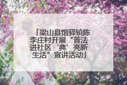 梁山县馆驿镇陈李庄村开展“普法进社区‘典’亮新生活”宣讲活动