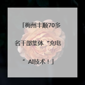 梅州丰顺70多名干部集体“充电”AI技术！