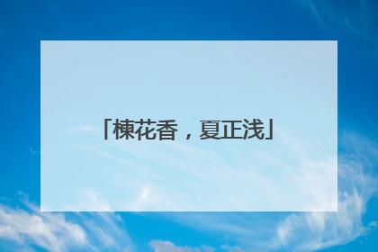 楝花香，夏正浅