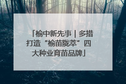 榆中新先事｜多措打造“榆苗陇萃”四大种业育苗品牌