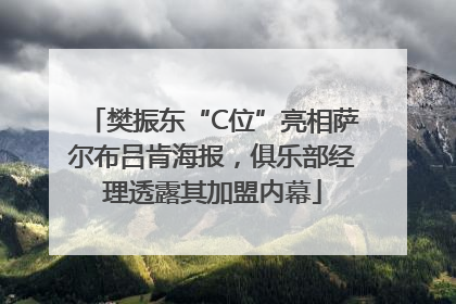 樊振东“C位”亮相萨尔布吕肯海报，俱乐部经理透露其加盟内幕