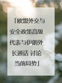 欧盟外交与安全政策高级代表与伊朗外长通话 讨论当前局势