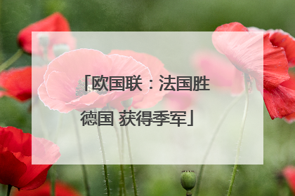 欧国联：法国胜德国 获得季军