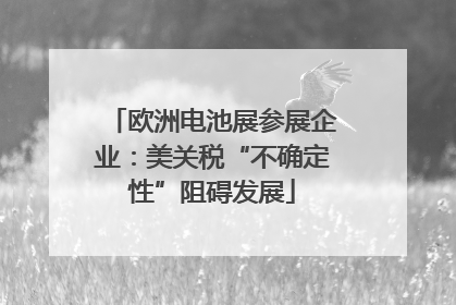 欧洲电池展参展企业：美关税“不确定性”阻碍发展