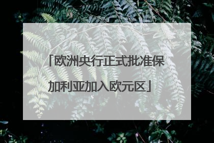 欧洲央行正式批准保加利亚加入欧元区