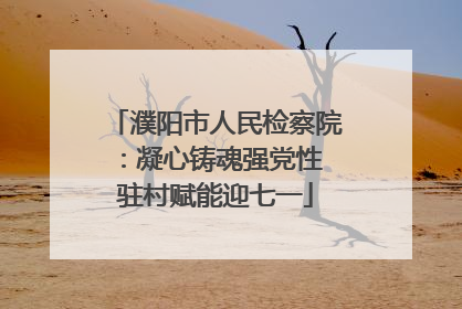 濮阳市人民检察院：凝心铸魂强党性 驻村赋能迎七一