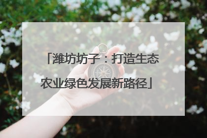 潍坊坊子：打造生态农业绿色发展新路径
