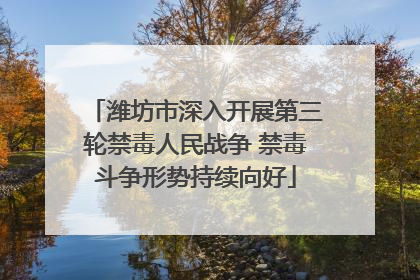潍坊市深入开展第三轮禁毒人民战争 禁毒斗争形势持续向好