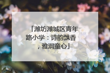 潍坊潍城区青年路小学：诗韵飘香，雅润童心