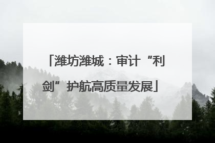潍坊潍城：审计“利剑”护航高质量发展