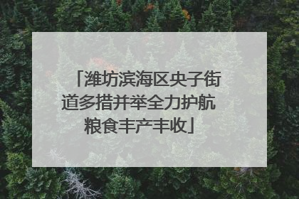 潍坊滨海区央子街道多措并举全力护航粮食丰产丰收