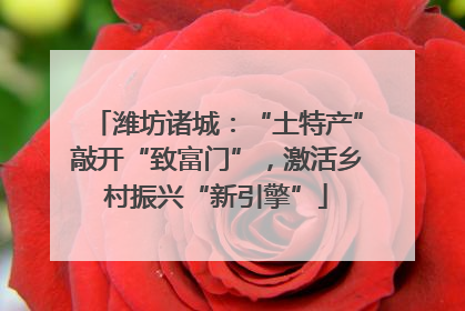 潍坊诸城：“土特产”敲开“致富门”，激活乡村振兴“新引擎”