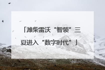 潍柴雷沃“智领”三夏进入“数字时代”