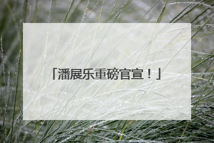 潘展乐重磅官宣！