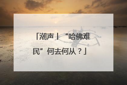 潮声丨“哈佛难民”何去何从？