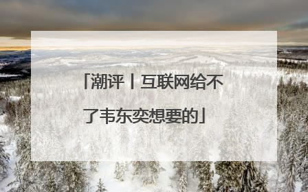 潮评丨互联网给不了韦东奕想要的