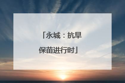 永城：抗旱保苗进行时