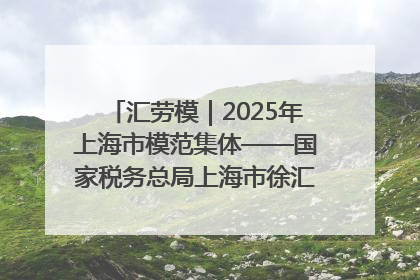 汇劳模｜2025年上海市模范集体——国家税务总局上海市徐汇区税务局第一税务所
