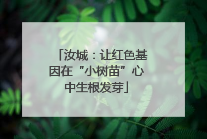 汝城：让红色基因在“小树苗”心中生根发芽